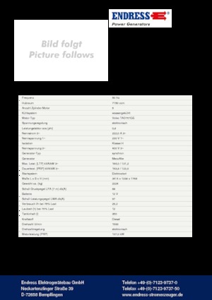 Diesel Generatoren Endress ESE 165 VW/AS