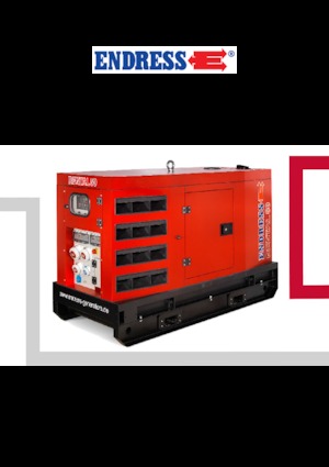 Diesel Generatoren Endress ESE 45 YW/RS