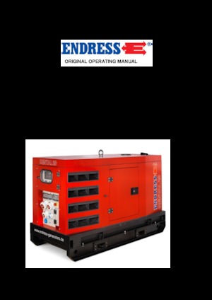 Diesel Generatoren Endress ESE 45 YW/RS
