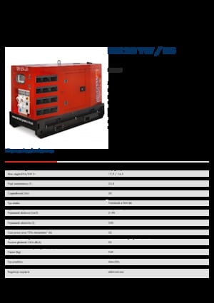 Diesel Generatoren Endress ESE 20 YW/RS