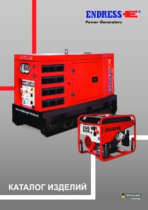Diesel Generatoren Endress ESE 30 YW/RS