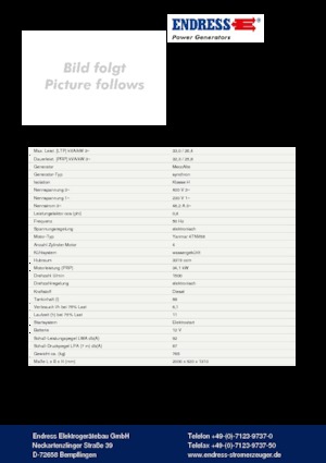 Diesel Generatoren Endress ESE 35 YW-MS