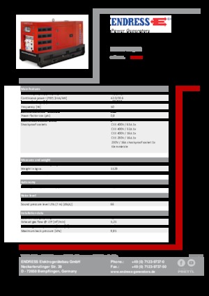 Diesel Generatoren Endress ESE 45 YW/RS