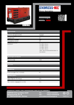 Diesel Generatoren Endress ESE 50 YW/RS