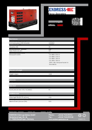Diesel Generatoren Endress ESE 50 YW/RS