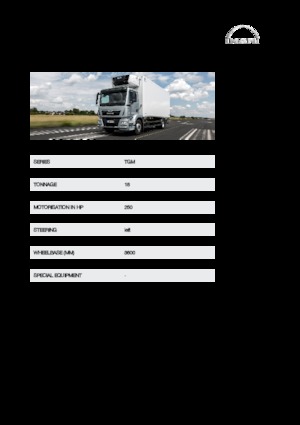 Bakwagen MAN TGM 18.250 4x4