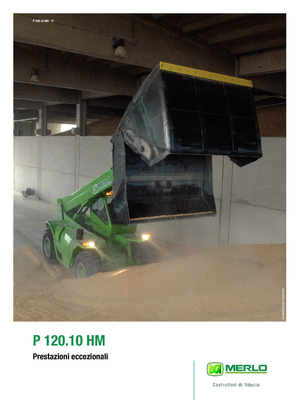 Telescoopladers Merlo Panoramic P 120.10 HM