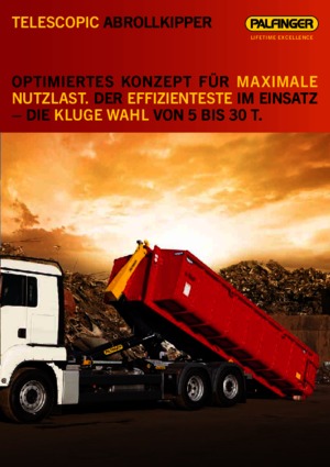 Roll-off kiepwagens Palfinger T 20 A