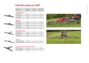 Rotatieschudders Massey Ferguson TD776X DN