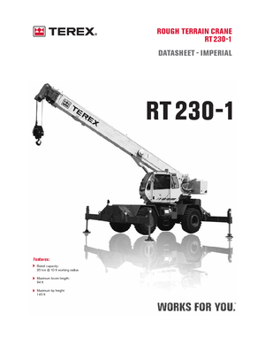 Ruwterrein-kranen Terex Bendini RT 230-1