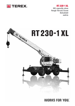 Ruwterrein-kranen Terex Bendini RT 230-1 XL