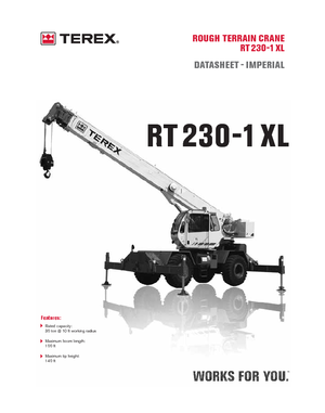 Ruwterrein-kranen Terex Bendini RT 230-1 XL