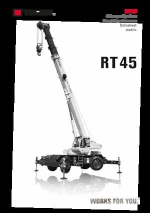Ruwterrein-kranen TEREX CRANES RT 45