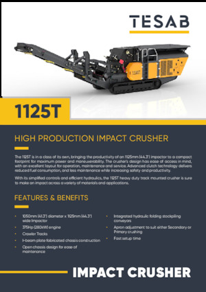 Puinrecyclinginstallaties Tesab 1125T