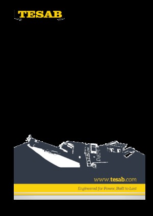 Puinrecyclinginstallaties Tesab 1150TCP 
