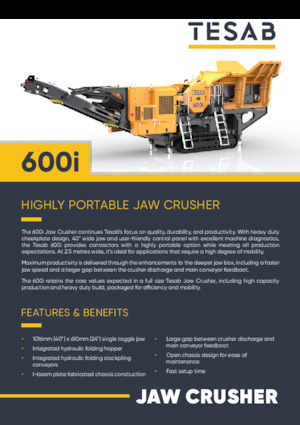 Puinrecyclinginstallaties Tesab 600i