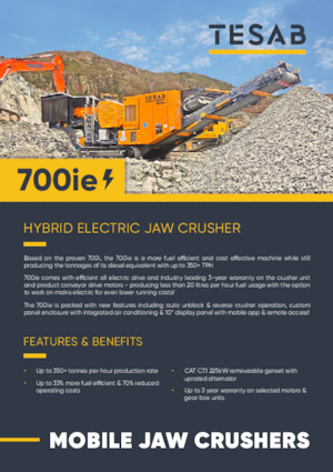 Puinrecyclinginstallaties Tesab 700ie