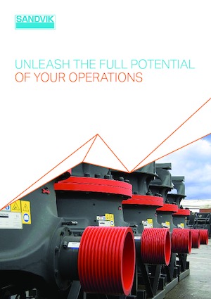 Puinrecyclinginstallaties Sandvik CH440