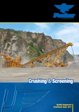 Puinrecyclinginstallaties Parker CP1200