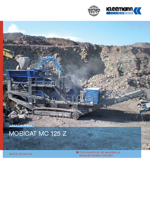 Puinrecyclinginstallaties Kleemann MC 125 Z