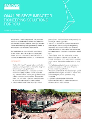 Puinrecyclinginstallaties Sandvik QI441