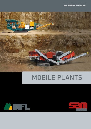 Puinrecyclinginstallaties MFL STE 90-60 / T