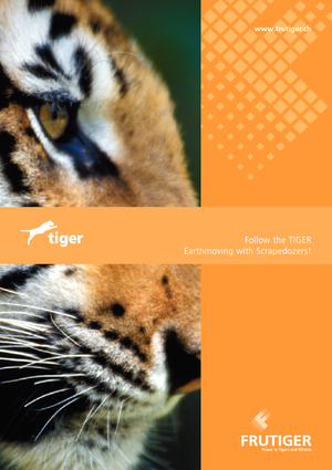 Schrapers Frutiger SR 3000 Tiger