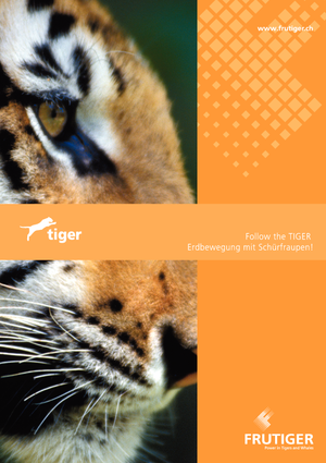 Schrapers Frutiger SR 3000 Tiger