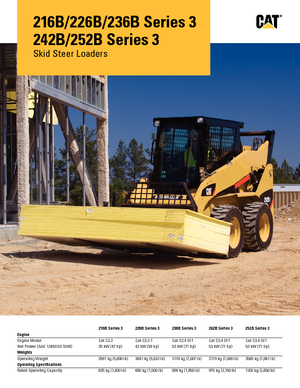 Schrankladers Caterpillar 216B II