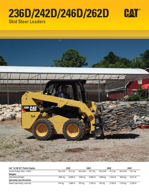 Schrankladers Caterpillar 242D