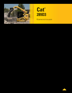 Schrankladers Caterpillar 289D Serie 3 Deltalader