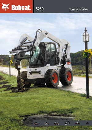 Schrankladers Bobcat S 250