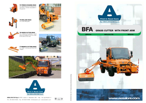 Zomeronderhoudsapparatuur/Hellingmaaiers Assaloni BFA 30
