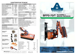 Zomeronderhoudsapparatuur/Hellingmaaiers Assaloni BFP 2