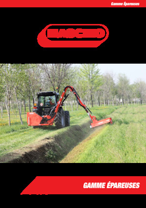 Zomeronderhoudsapparatuur/Hellingmaaiers Maschio Lara 850T