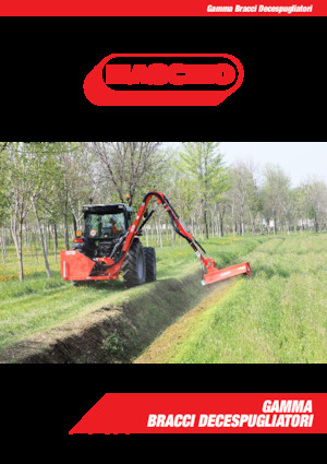Zomeronderhoudsapparatuur/Hellingmaaiers Maschio Lara 850T