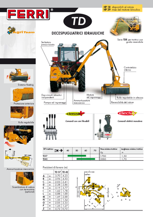 Zomeronderhoudsapparatuur/Hellingmaaiers Ferri TD 42