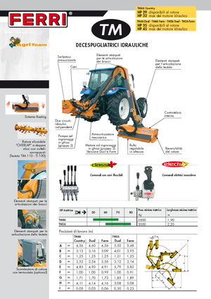 Zomeronderhoudsapparatuur/Hellingmaaiers Ferri TM 46 Dual
