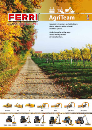 Zomeronderhoudsapparatuur/Hellingmaaiers Ferri TP 600
