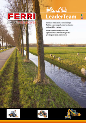 Zomeronderhoudsapparatuur/Hellingmaaiers Ferri TSI 600