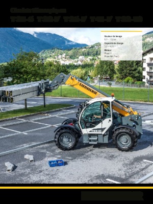 Telescoopladers Liebherr T 36-7