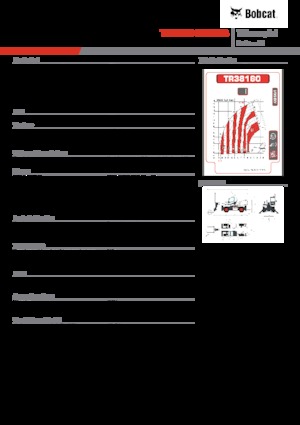 Draaiende verreiker Bobcat TR38160EVO IIIB