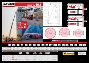 Telescoophoogwerkers op wielen Palazzani TSJ 30.1 R
