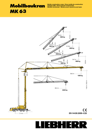 Vrachtwagentorenkraan - Trolley-arm - Onder draaiend Liebherr MK 63