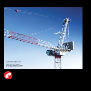 Torenkranen - Beweegbare arm - Boven draaiend Raimondi LR273