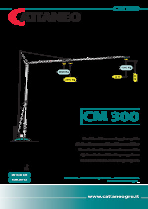 Torenkranen - Trolley-arm - Onder draaiend Cattaneo CM 300