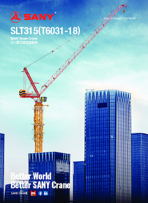 Torenkranen - Trolley-arm - Boven draaiend Sany SLT315