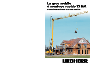Torenkranen - Trolley-arm - Onder draaiend Liebherr 13 HM