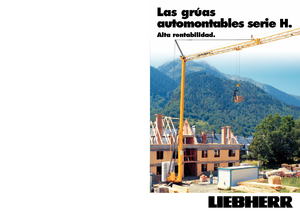 Torenkranen - Trolley-arm - Onder draaiend Liebherr 13 H