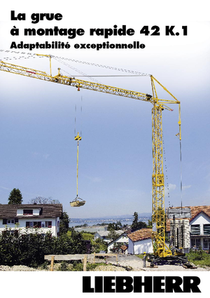 Torenkranen - Trolley-arm - Onder draaiend Liebherr 42 K.1 (FU)